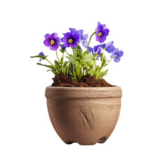 Naklejka premium a potted plant with purple flowers