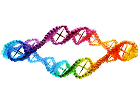 a rainbow colored dna chain