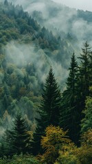 A lush forest shrouded in mist, with towering trees and golden leaves