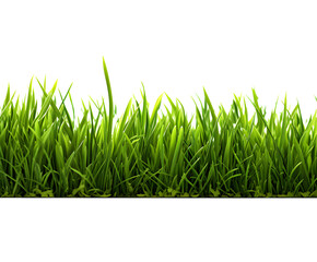 Green grass frame isolated on transparent background.