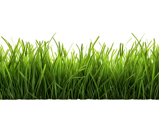 Green grass frame isolated on transparent background.