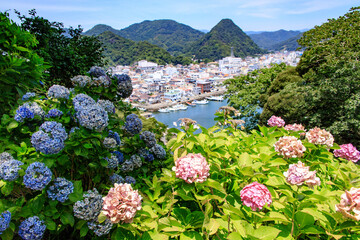 Obraz premium Panoramic View of Shimoda Town with Vibrant Hydrangeas in Foreground
