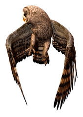 3D Rendering Grey Owl on White