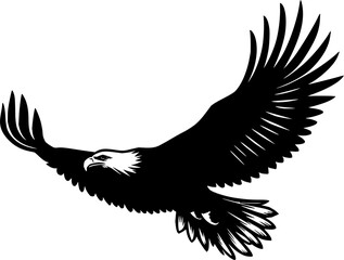 Flying hawk vector illustration