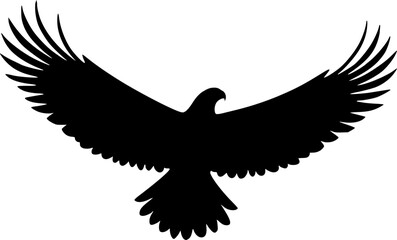 Obraz premium Silhouette flying eagle