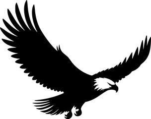 Eagle in flight, flying eagle 