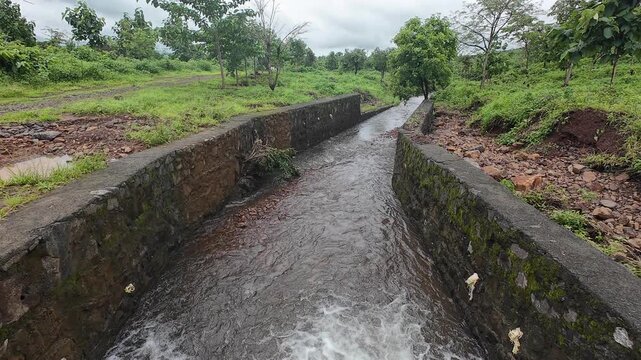 A small irrigation canal in a verdant crop field, influenced by the rainy season for optimal water supply. Maharashtra, India 