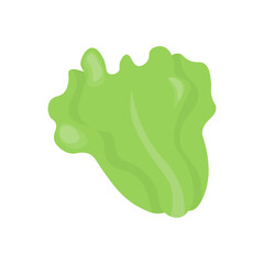 Vector single image of a lettuce leaf in color. Stock isolated image on a white background in hand-drawn style. Botanical clipart.