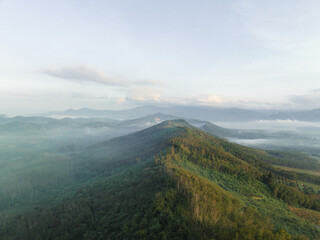 Aerial view sunrise morning on mountain peak tropical rainforest with fog