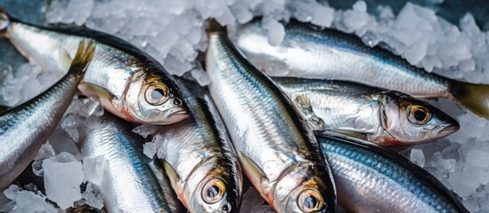 Obraz premium Fresh Silver Fish on Ice