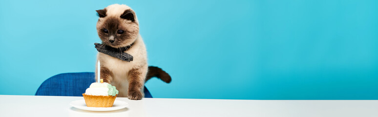 A cat stands by a cupcake on a table in a charming studio setting, showcasing the beauty of...