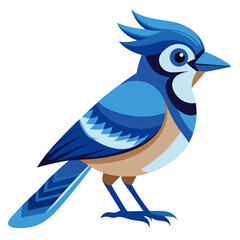 Blue Jay Bird Vector for multiple uses