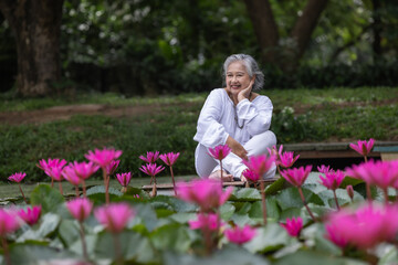 Elderly Woman Sitting Peacefully on Dock Surrounded by Blooming Pink Lotus Flowers in Pond