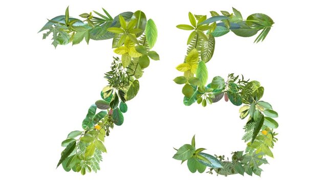 75, the number is formed from the arrangement of fallen leaves, suitable for birthday, anniversary and memorial day templates