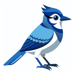Blue Jay Bird Vector for multiple uses