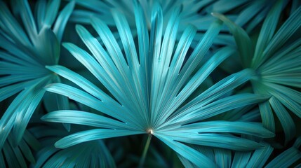 Fototapeta premium Captivating Turquoise Foliage: Nature's Vibrant Display