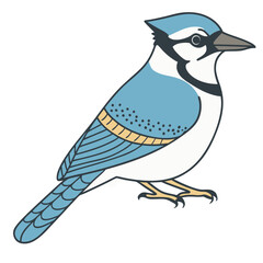 Blue Jay Bird Vector for multiple uses