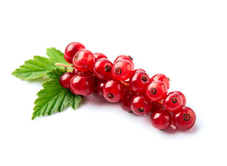 Red currant berries  on white backgrounds