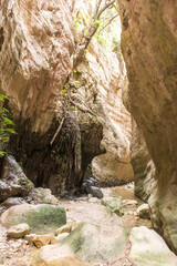 Avakas Gorge in Cyprus..