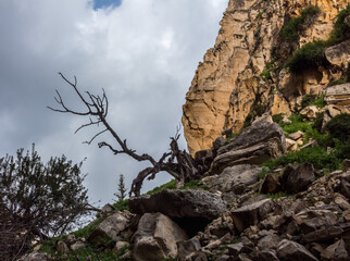 Avakas Gorge in Cyprus..