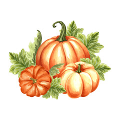 Pumpkins orange with green leaves. Harvest Autumn composition. Hand drawn watercolor illustration isolated. Thanksgiving traditional vegetables. Template for invitation, card, Halloween, embroidery.