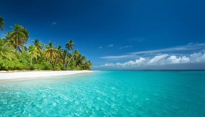 tropical beach in the ocean with palms, white sand and turquoise water