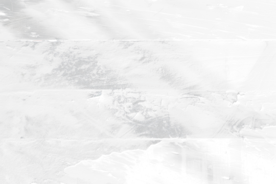 Shadow Overlay on transparent . Light and shadows from window