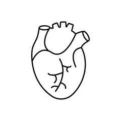Heart flat line icon. Vector thin pictogram of human internal organ, outline illustration for cardiology clinic.Web