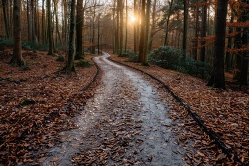 Naklejka premium A winding forest path carpeted with fallen autumn leaves, bathed in golden sunlight, creates a serene and picturesque woodland scene full of natural beauty and calm.