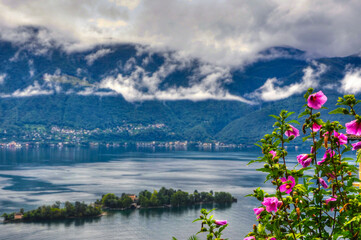 Alpine Lake Maggiore with Brissago Island and Mountain with Rainy Clouds and Beautiful Flowers in Brissago, Ticino, Switzerland.