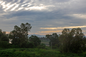 The close background of the green rice fields, the seedlings that are growing, are seen in rural areas as the main occupation of rice farmers who grow rice for sale or living.