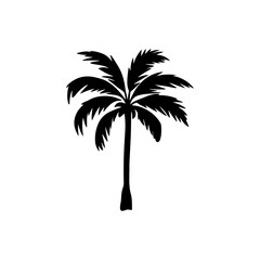 Obraz premium Coconut Tree, typography calligraphy sillhouette vector
