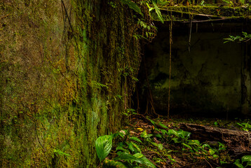 Gorgona Island_Pacific Ocean_Colombia