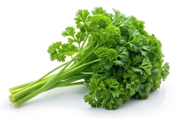 Parsley vegetable isolated on white background. parsley clipping path