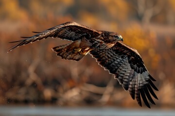 A bird soaring gracefully close to a river with an autumnal background, representing the harmony of wildlife with nature, freedom, and the beauty of seasonal changes.
