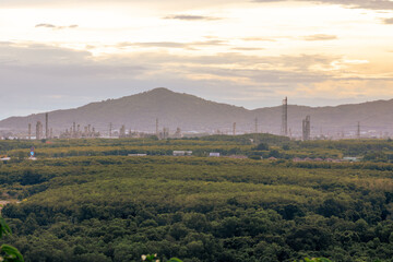 Beautiful blurred morning nature background amidst cassava forest with colorful morning natural...