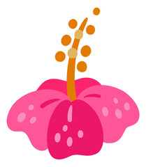 Exotic flower. Cute tropical plant blossom plant