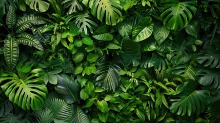 Lush Green Foliage