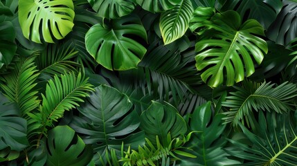 Fototapeta premium Lush Greenery