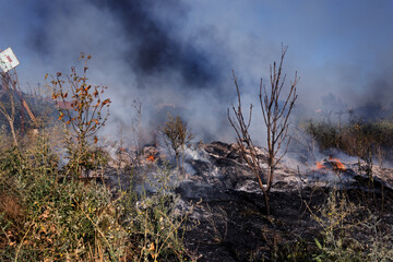 Forest and steppe fires dry completely destroy the fields and steppes during a severe drought....