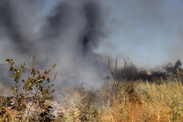 Forest and steppe fires dry completely destroy the fields and steppes during a severe drought. Disaster brings regular damage to nature and economy of region. Lights field with the harvest of wheat