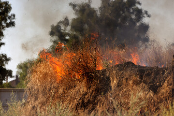 Forest and steppe fires dry completely destroy the fields and steppes during a severe drought. Disaster brings regular damage to nature and economy of region. Lights field with the harvest of wheat