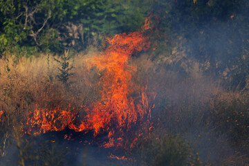 Forest and steppe fires dry completely destroy the fields and steppes during a severe drought. Disaster brings regular damage to nature and economy of region. Lights field with the harvest of wheat