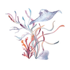 Fototapeta premium Undersea arrangement with plants and ocean inhabitants in watercolor. Stingray and seaweeds monochrome illustration hand drawn in a pink and gray. Bright nautical underwater style. Marine design
