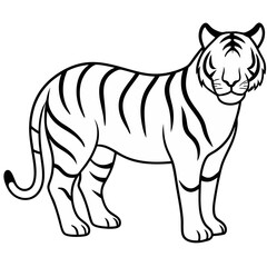 illustration of a tiger