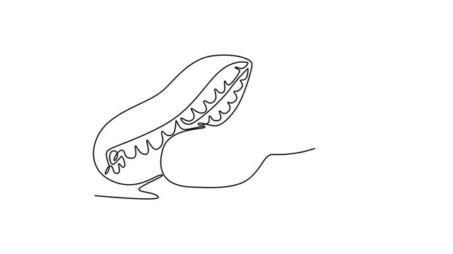 Animated self drawing of continuous line draw of whole and peeled healthy organic peanut for snack product logo identity. Fresh hypogaea concept for edible beans icon. Full length one line animation