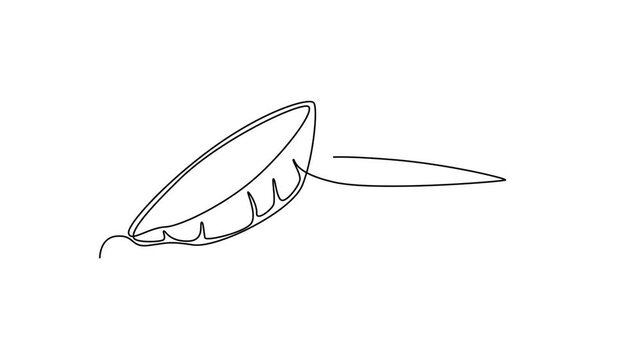 Animated self drawing of continuous line draw of sliced healthy organic hot sweet potato for orchard logo identity. Fresh ipomoea batatas concept for botanically icon. Full length one line animation