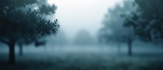 Fototapeta premium A misty morning perfect for wallpaper landscape fantasy, highlighting the gentle fog and a peaceful, otherworldly ambiance, banner, with copy space