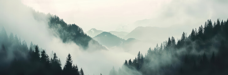 Obraz premium A misty panoramic view with an ethereal veil, showcasing a landscape shrouded in delicate, mystical mist, banner, with copy space