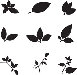 black and white foliage vector